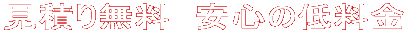ς薳@S̒ᗿ